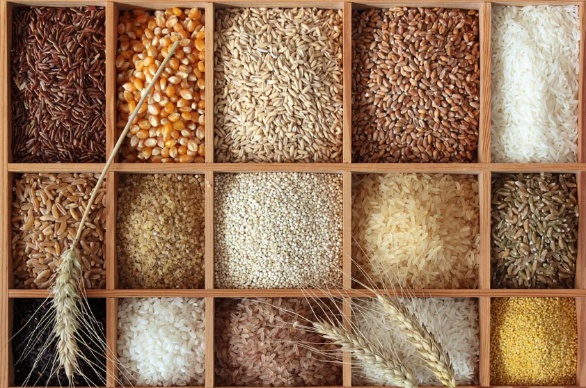 Grains